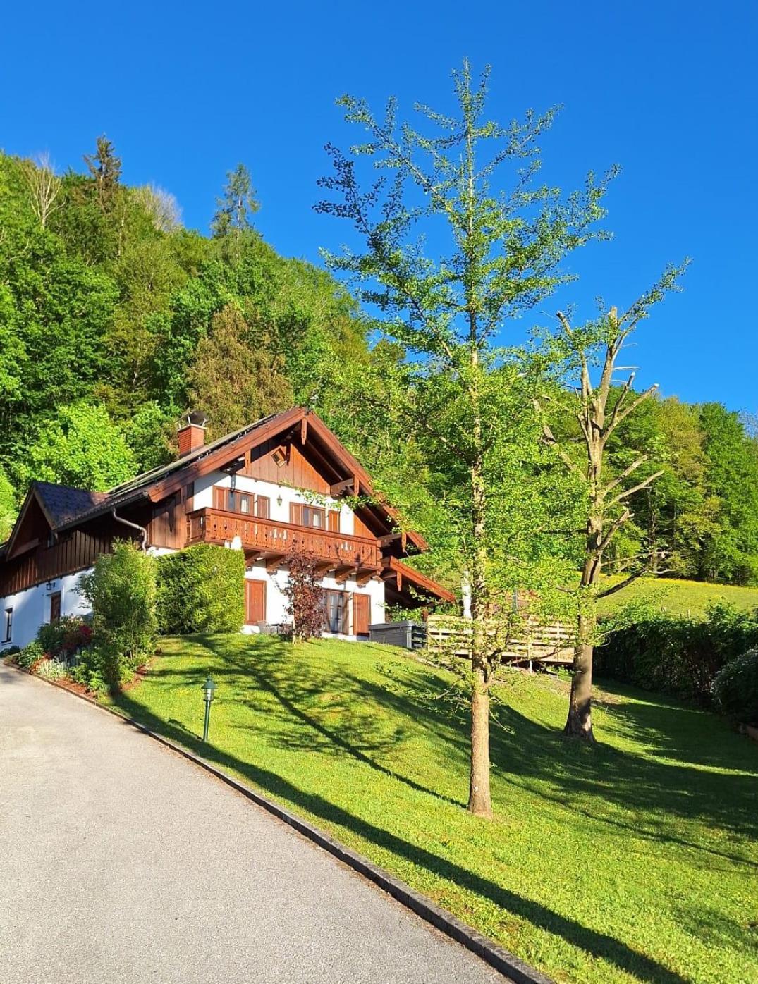 Luxus Alpenparadies Nahe Salzburg Sauna & Whirlpool Adnet Esterno foto